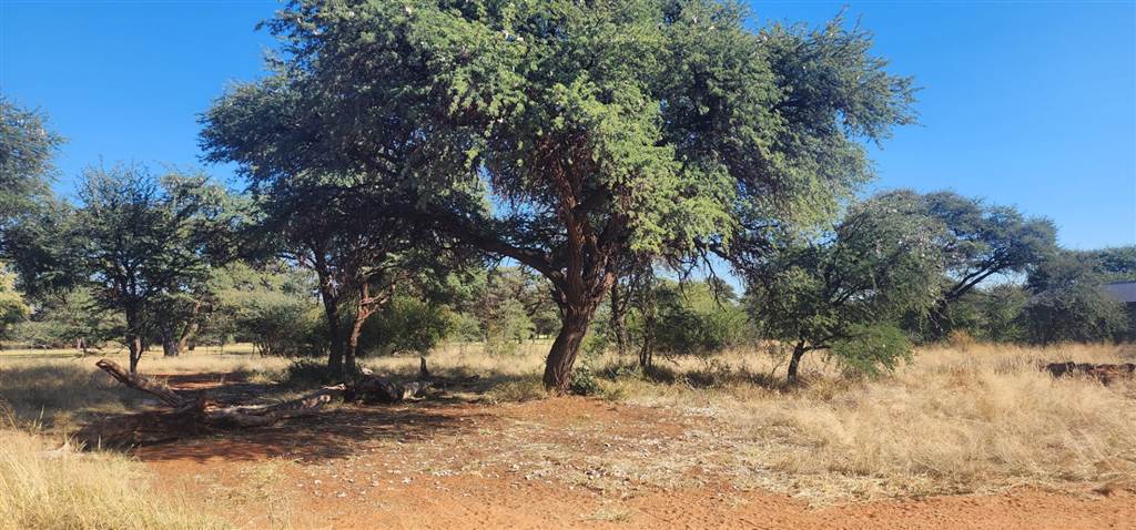 1041 m² Land available in Kathu photo number 3