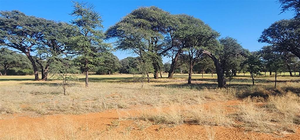 1041 m² Land available in Kathu photo number 5