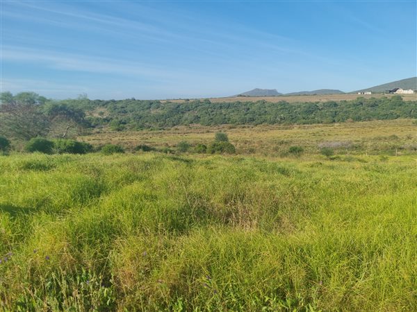 816 m² Land