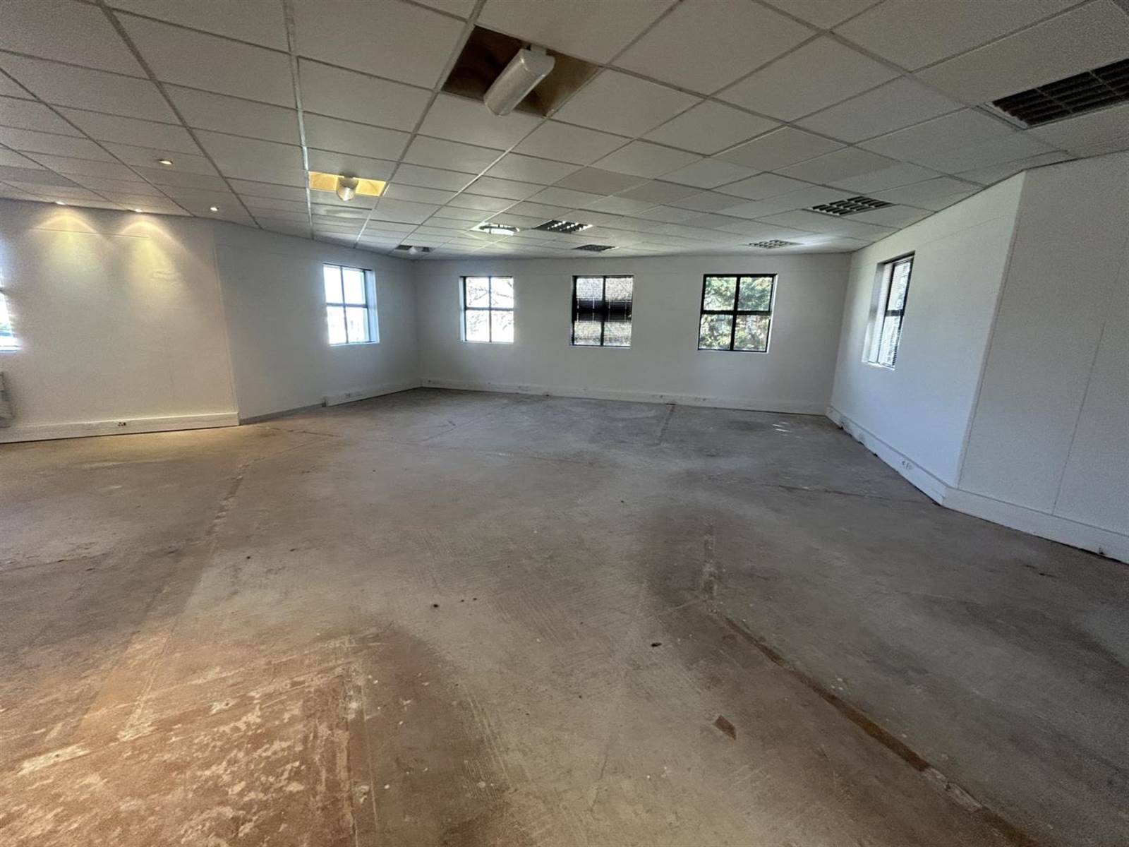 375  m² Office Space in Kenilworth photo number 10