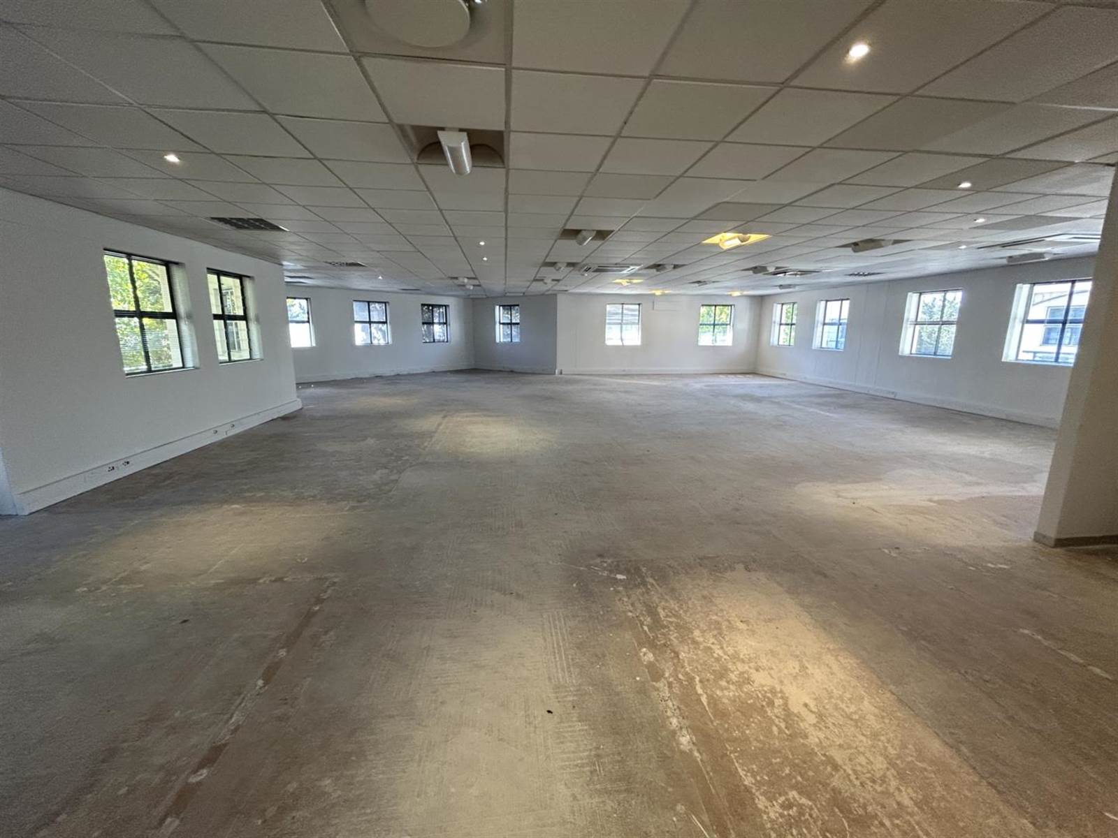 375  m² Office Space in Kenilworth photo number 4
