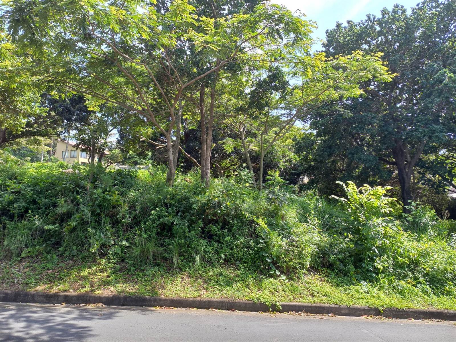 1208 m² Land available in Hibberdene photo number 2