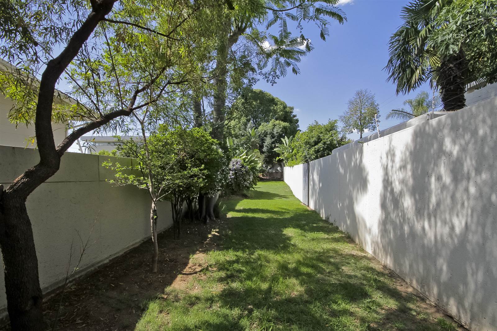 1249 m² Land available in Bryanston photo number 4