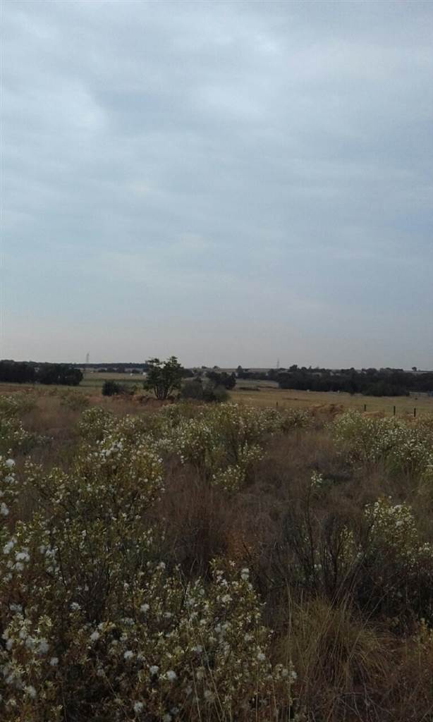 12 ha Land available in Rayton photo number 4