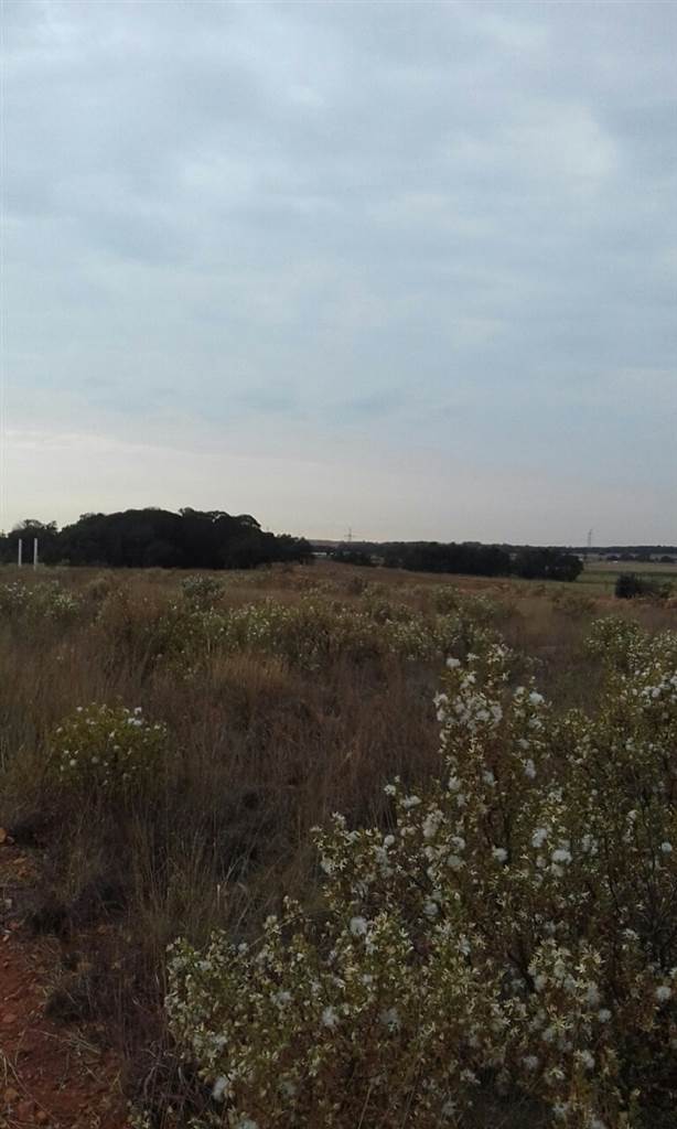 12 ha Land available in Rayton photo number 5