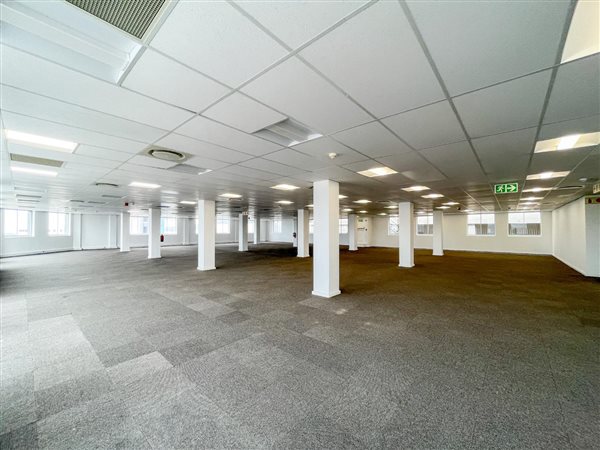 1309  m² Office Space