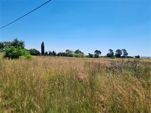 4 ha Land available in Homestead Apple Orchards