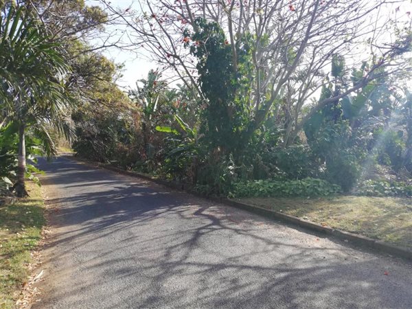 1281 m² Land available in Margate