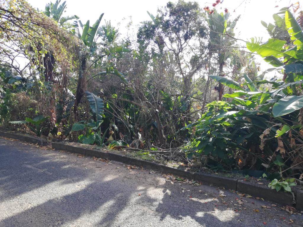 1281 m² Land available in Margate photo number 4