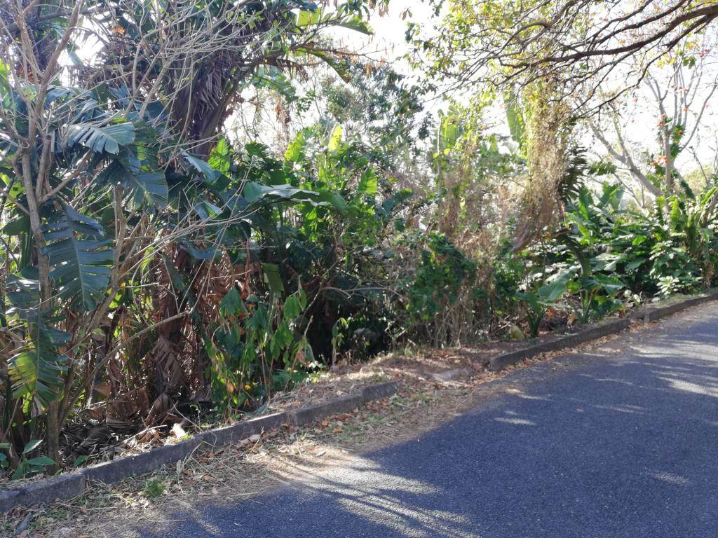 1281 m² Land available in Margate photo number 5
