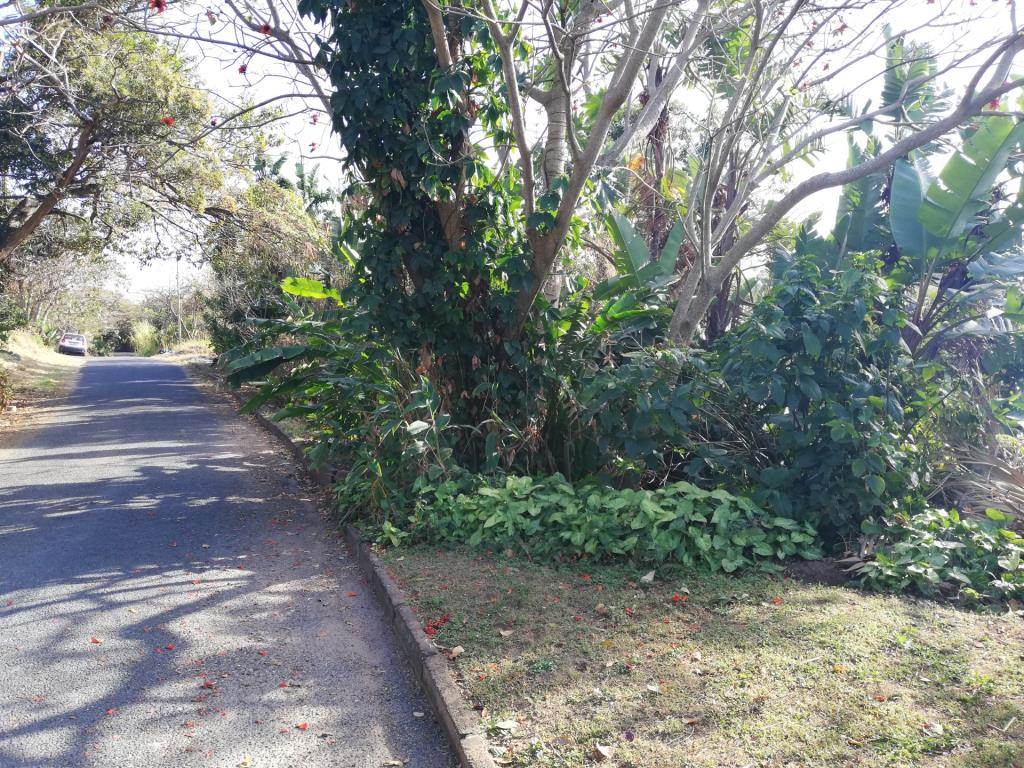 1281 m² Land available in Margate photo number 3