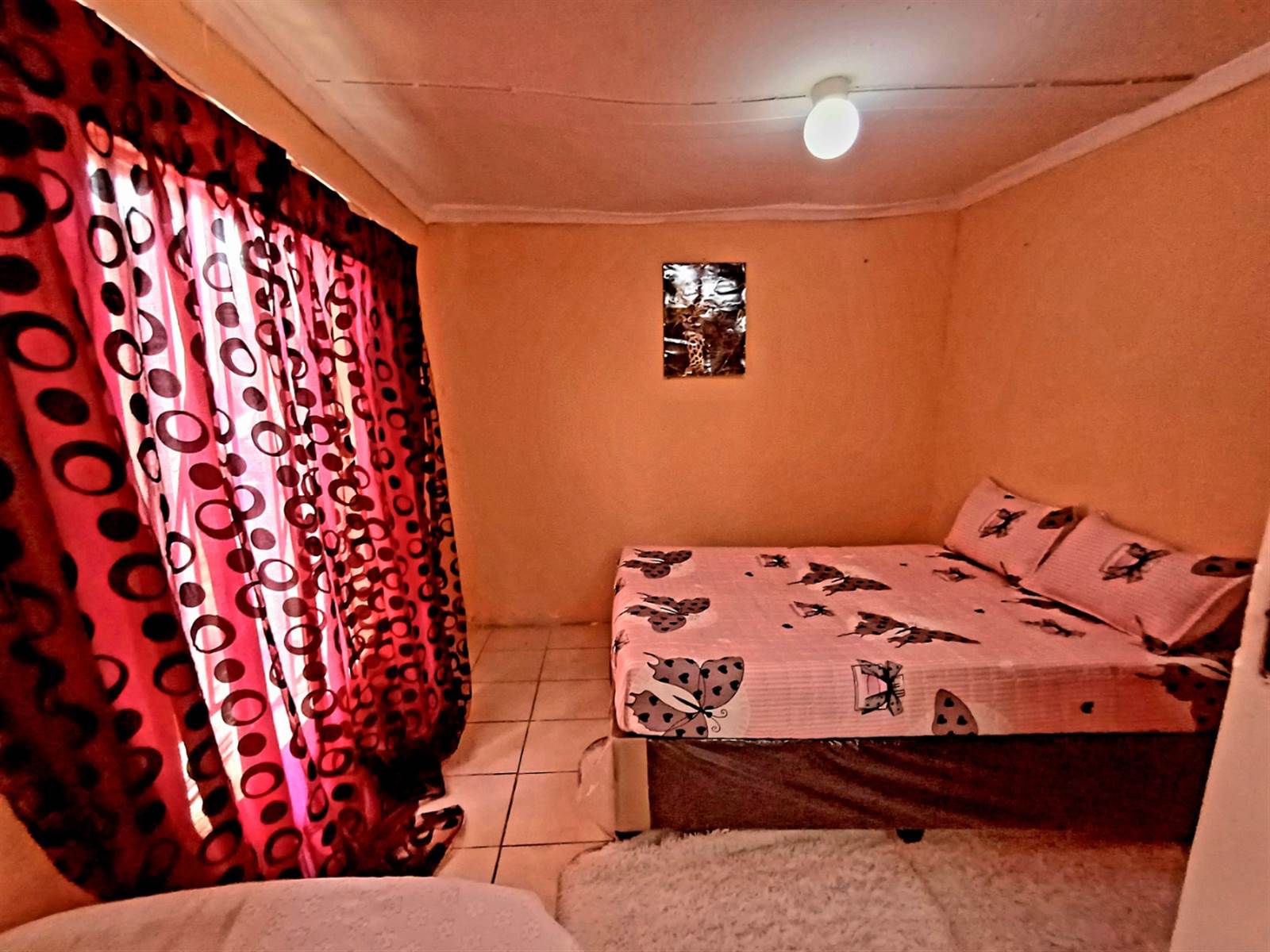 4 Bed House in Turffontein photo number 12