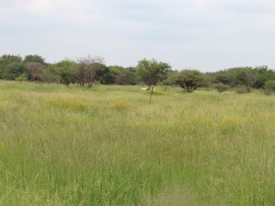409 m² Land available in Northam photo number 17