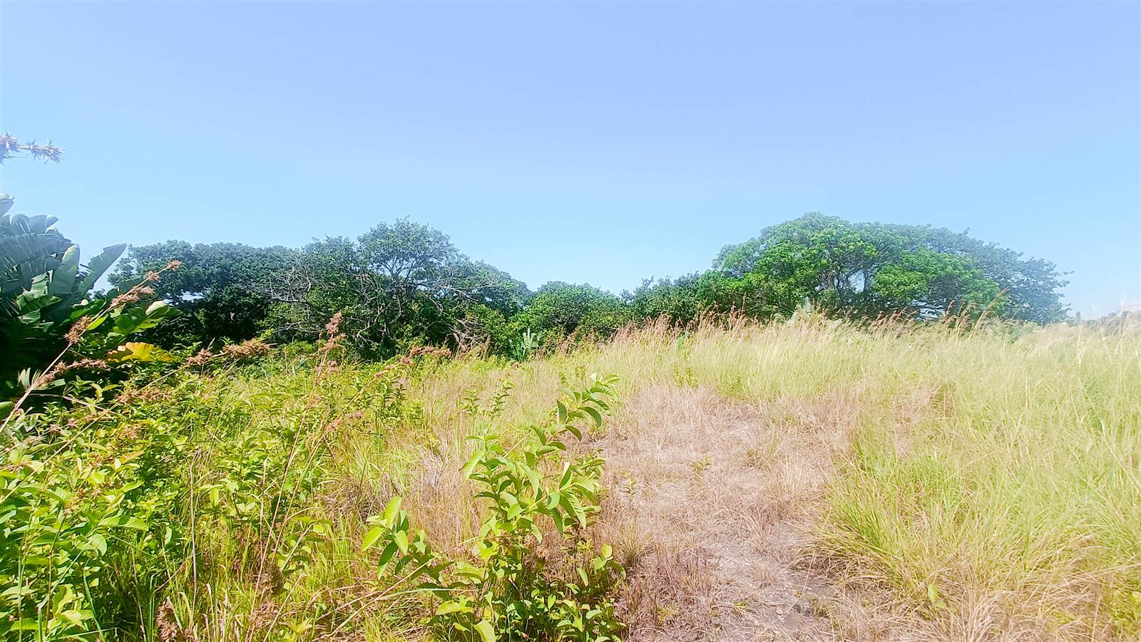 8663 m² Land available in Southbroom photo number 15