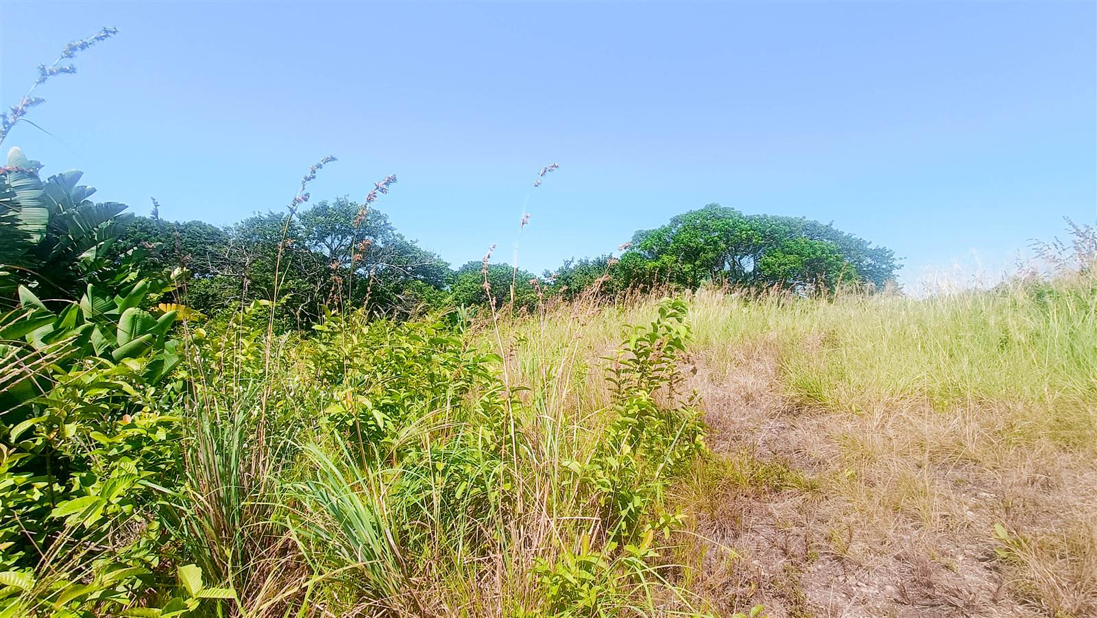 8663 m² Land available in Southbroom photo number 12