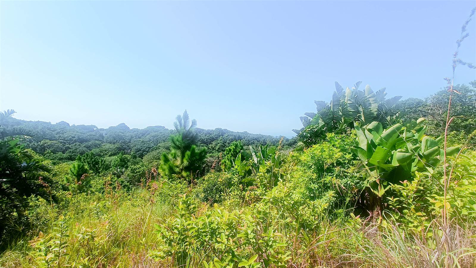 8663 m² Land available in Southbroom photo number 13