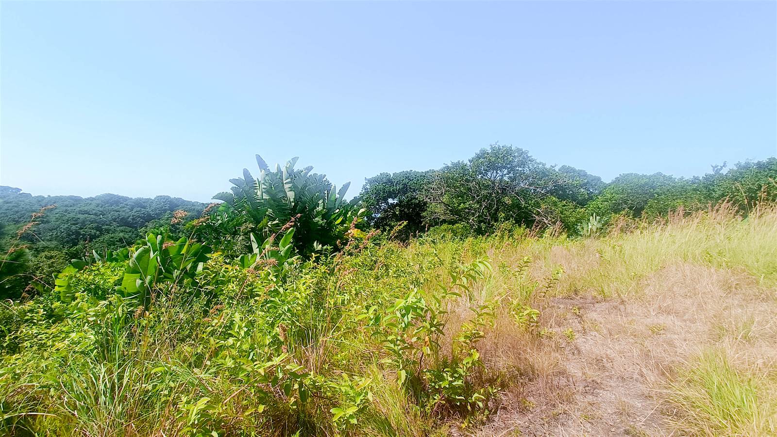 8663 m² Land available in Southbroom photo number 16