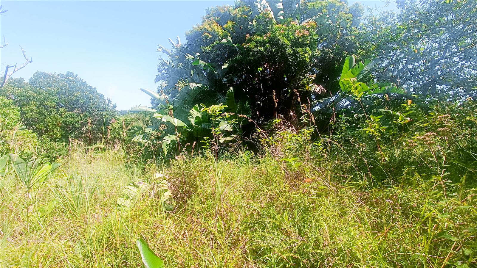 8663 m² Land available in Southbroom photo number 19