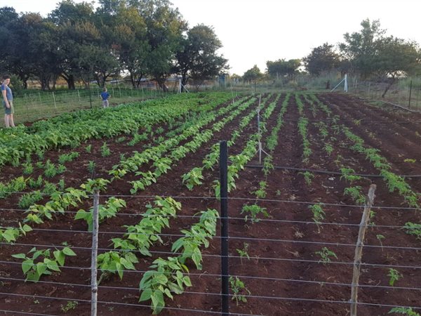 Farm Farm