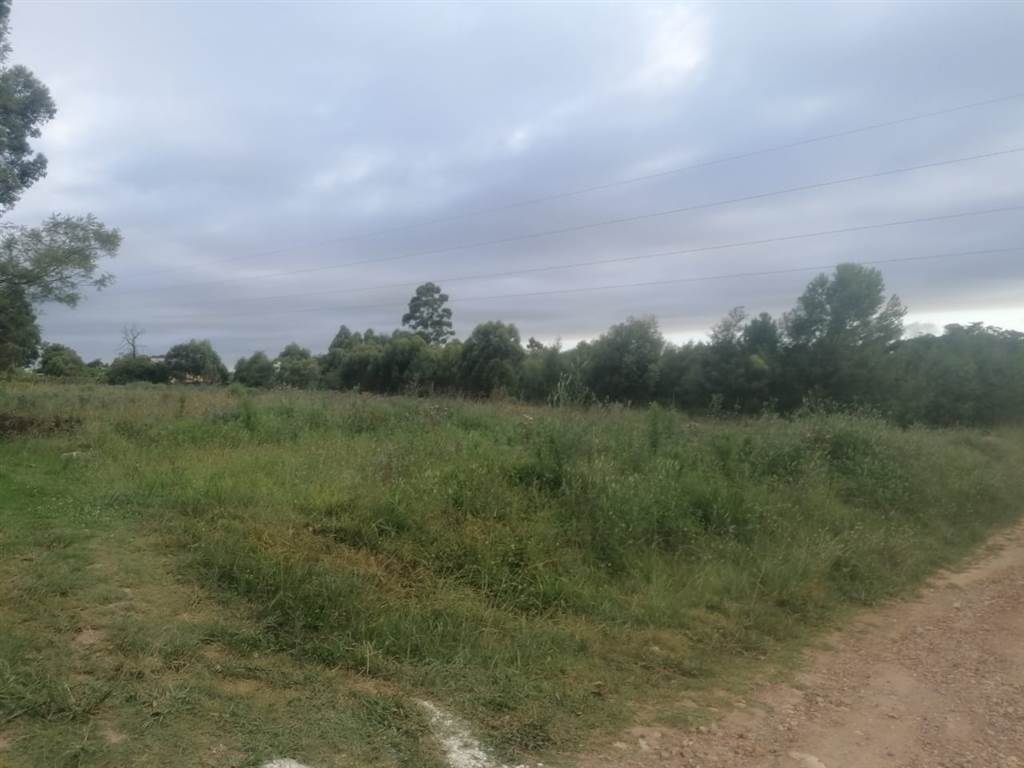 3569 m² Land available in Thornhill photo number 1