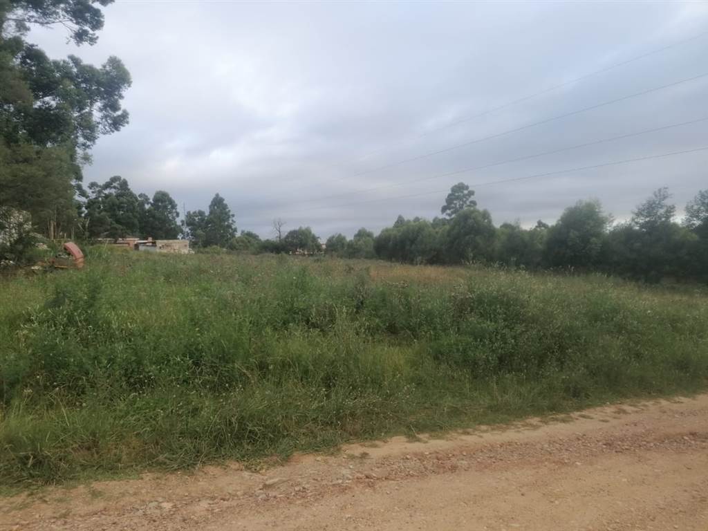 3569 m² Land available in Thornhill photo number 3