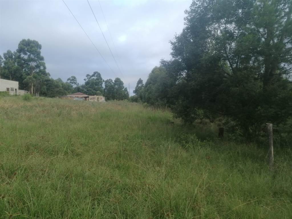 3569 m² Land available in Thornhill photo number 8