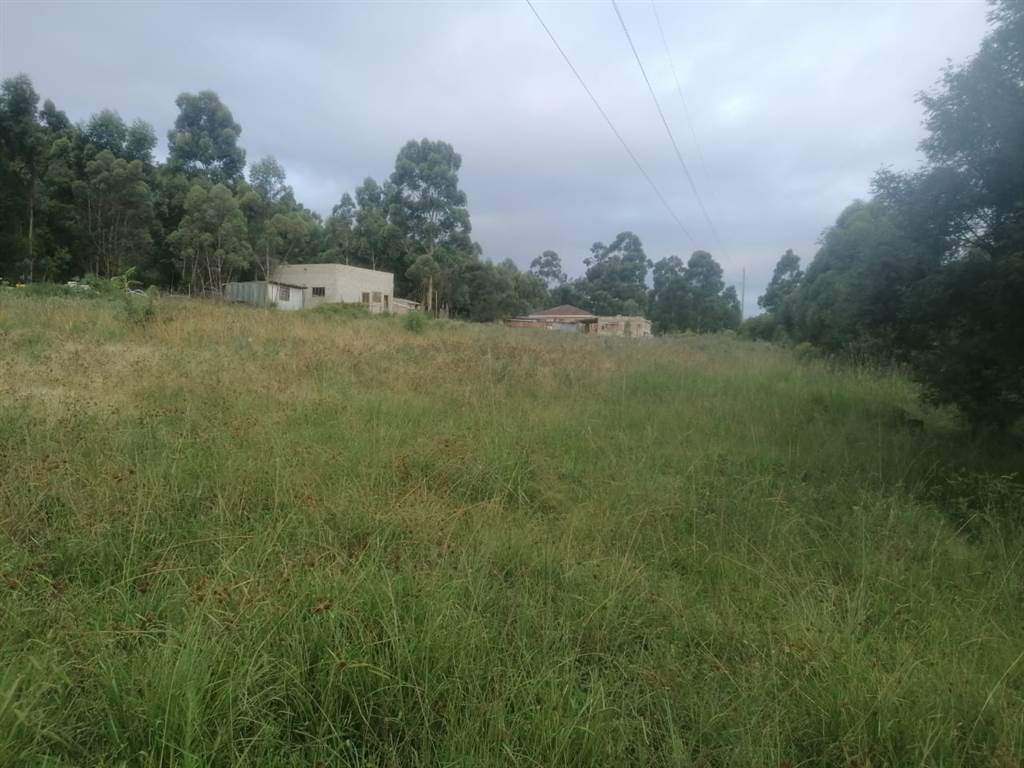 3569 m² Land available in Thornhill photo number 9