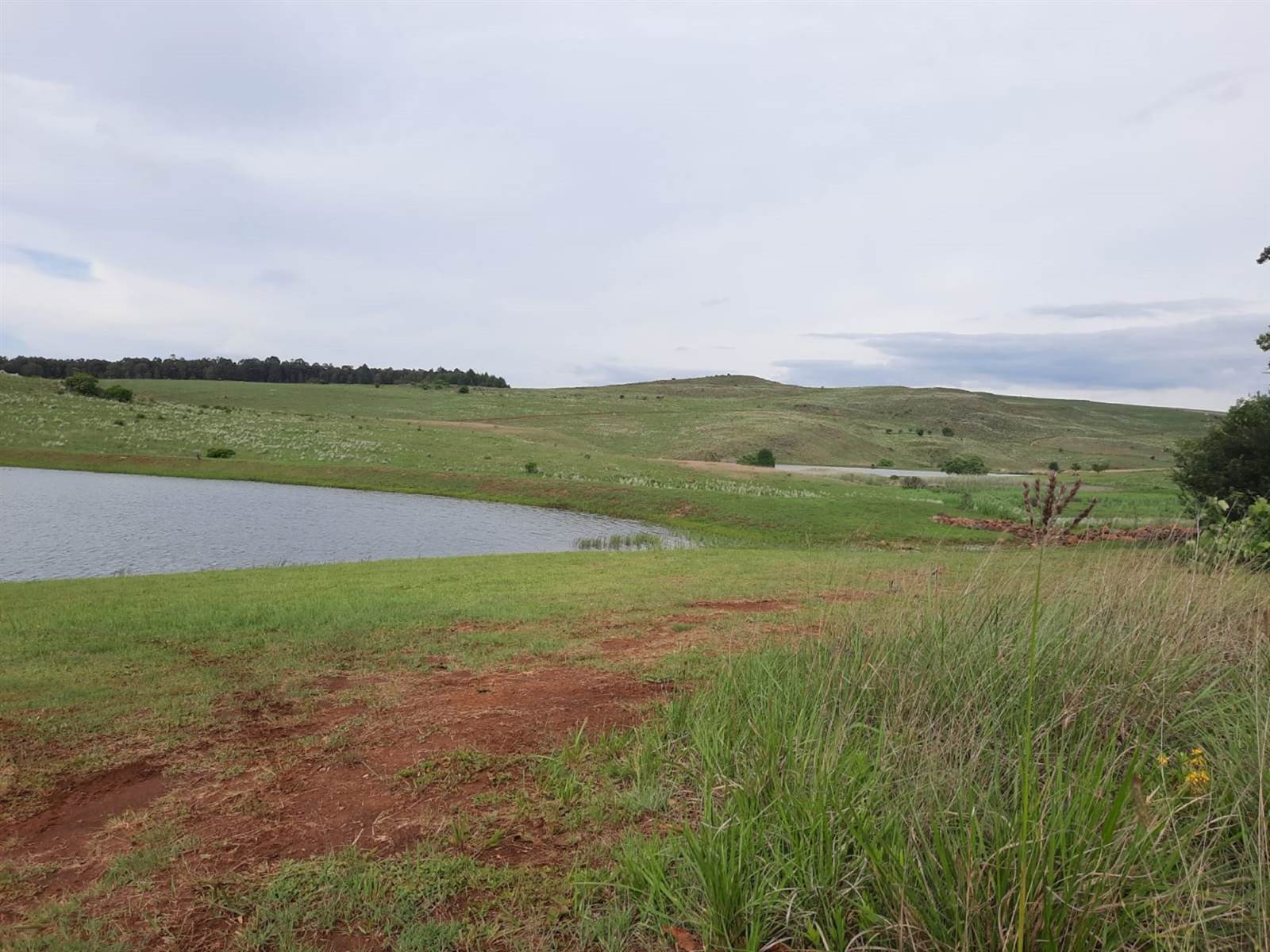 1.2 ha Land available in Dullstroom photo number 4