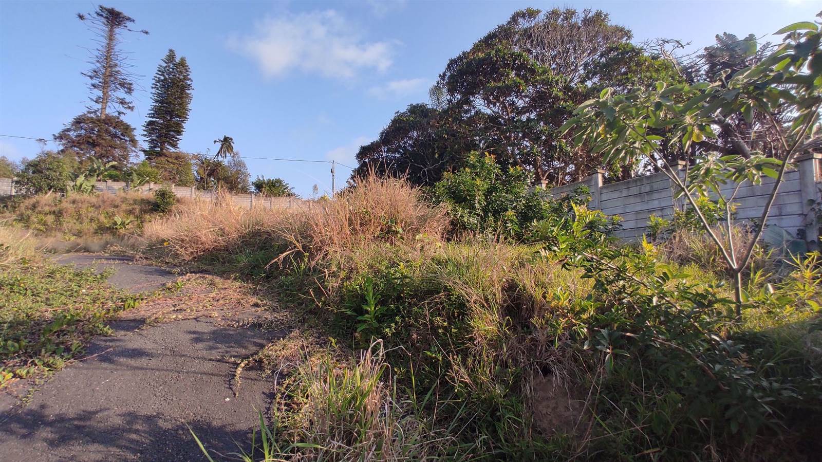 1338 m² Land available in Margate photo number 8
