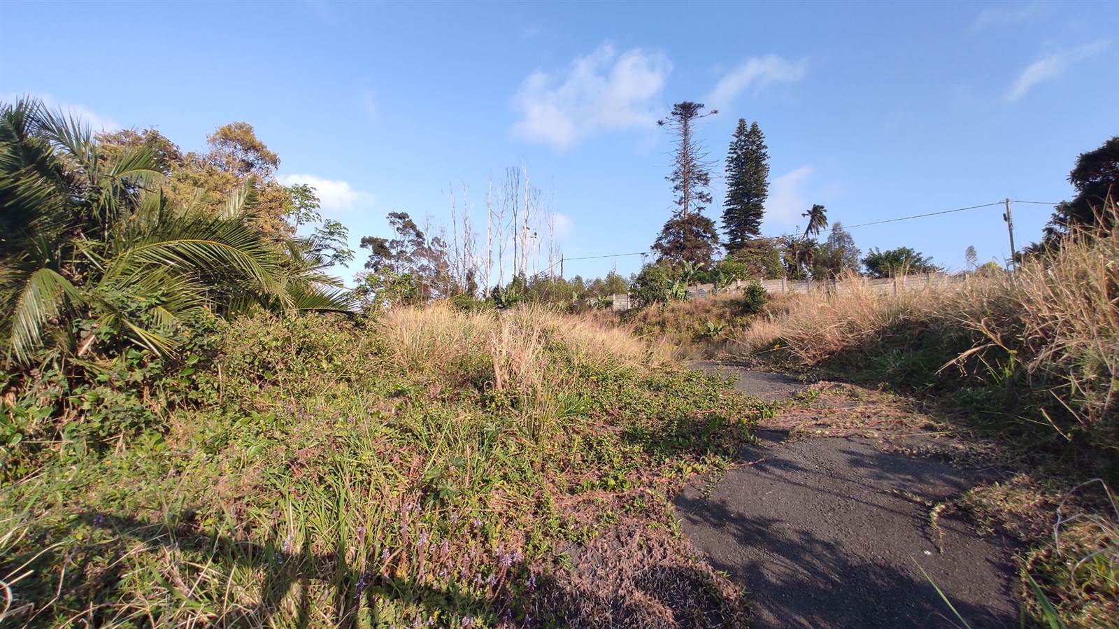 1338 m² Land available in Margate photo number 7