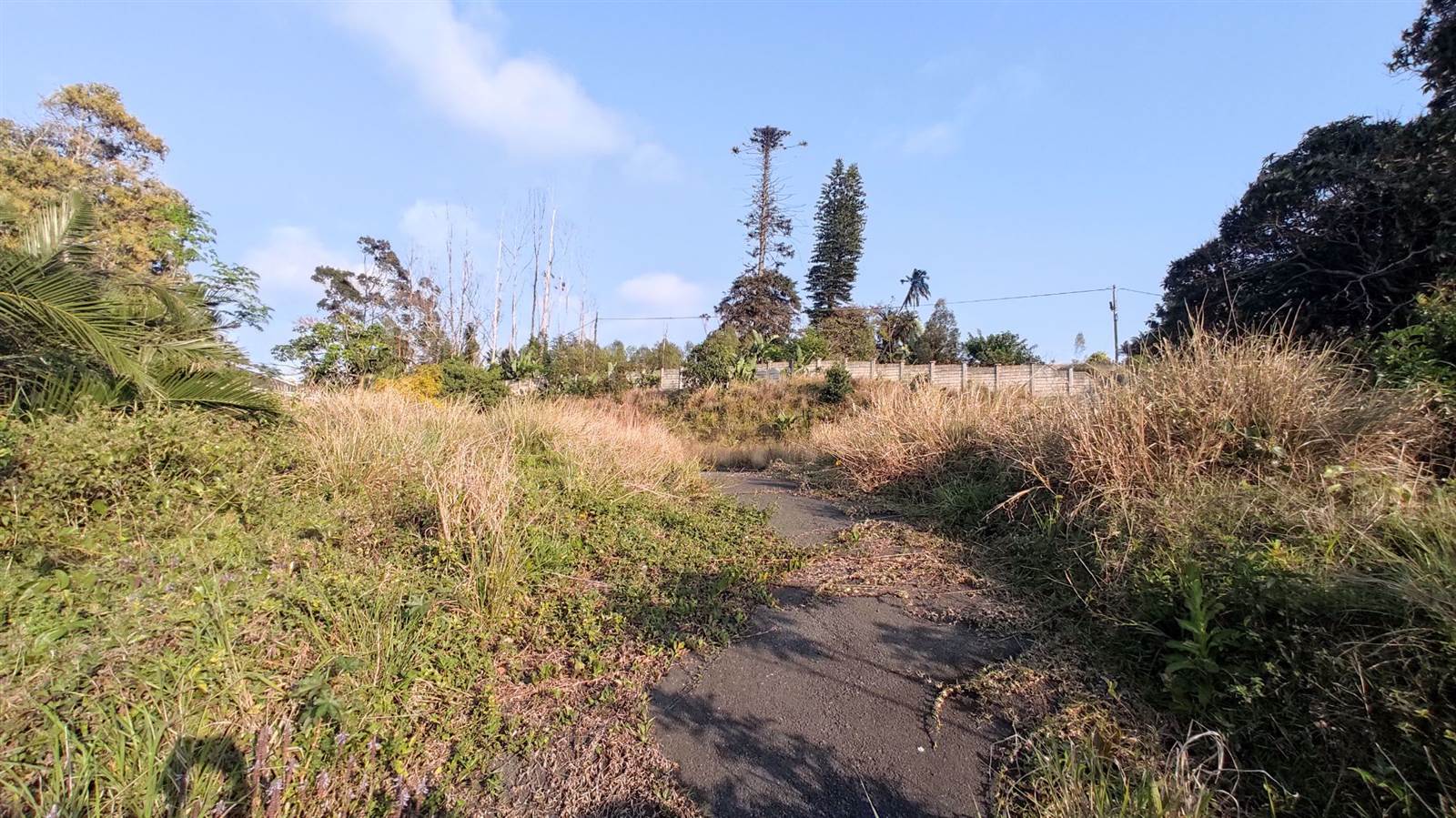 1338 m² Land available in Margate photo number 9
