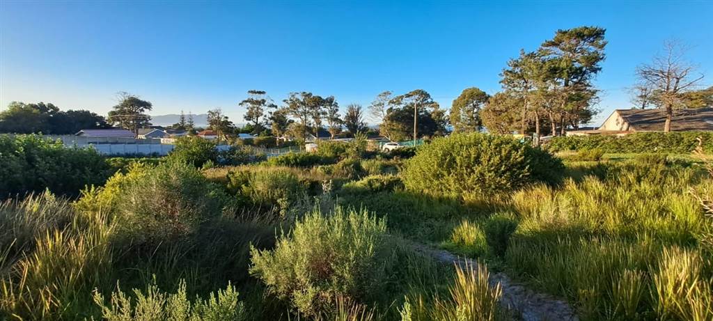 1016 m² Land available in Kleinmond photo number 7