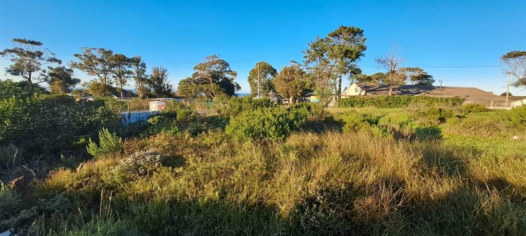 1016 m² Land available in Kleinmond photo number 8