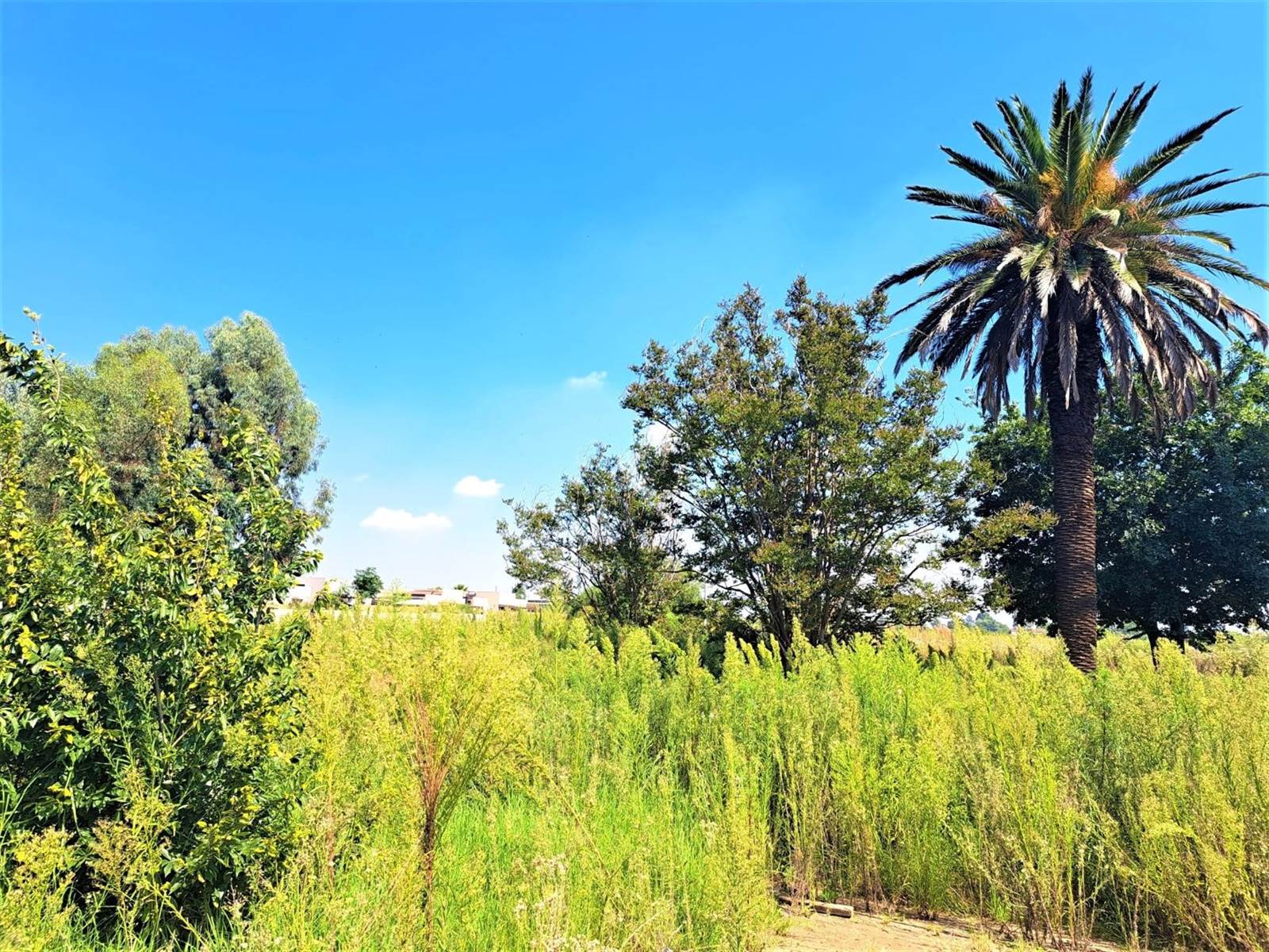 8586 m² Land available in Meyerton photo number 4