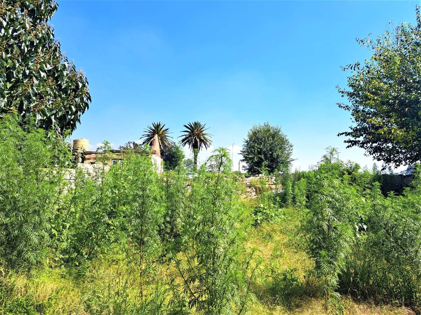 8586 m² Land available in Meyerton photo number 3