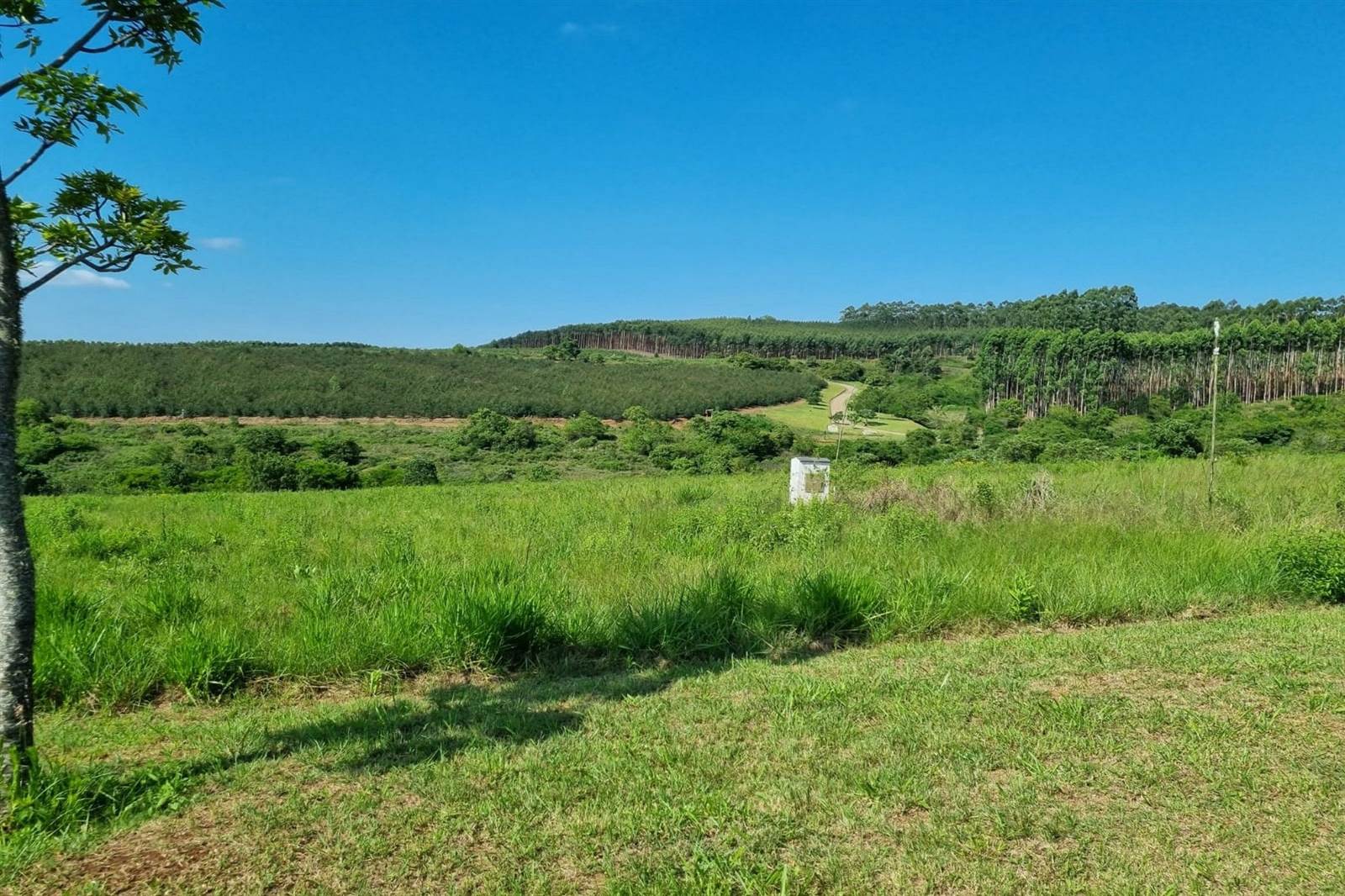 1.8 ha Land available in White River photo number 3