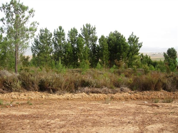 668 m² Land available in Caledon