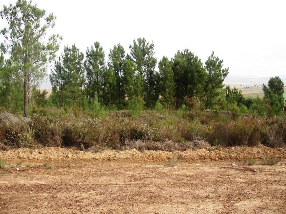 668 m² Land available in Caledon photo number 1