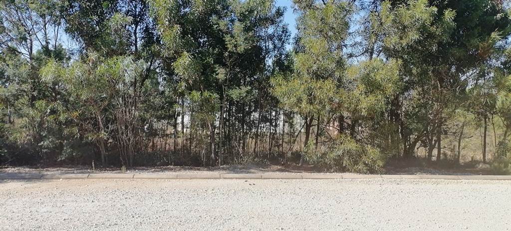668 m² Land available in Caledon photo number 5