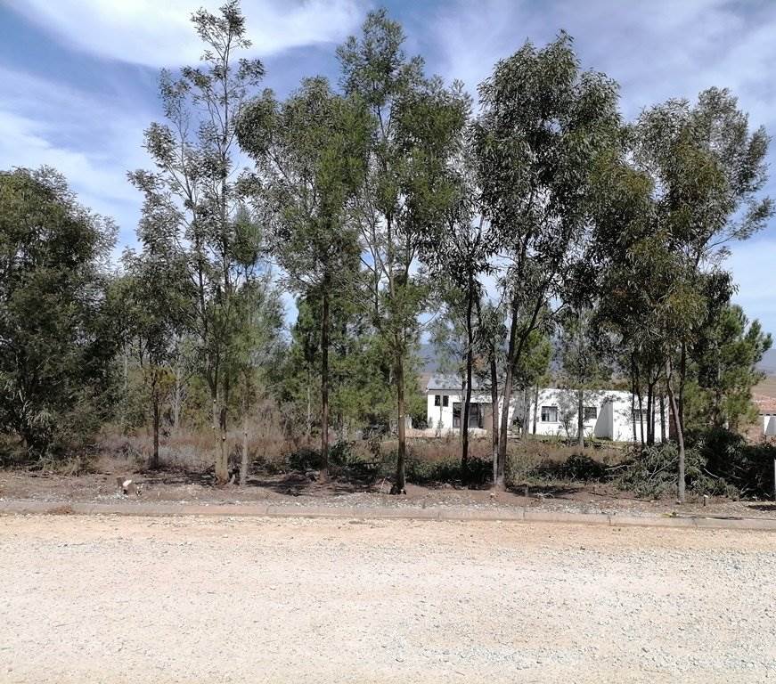 668 m² Land available in Caledon photo number 8