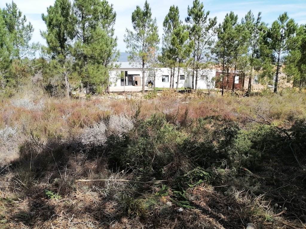 668 m² Land available in Caledon photo number 11