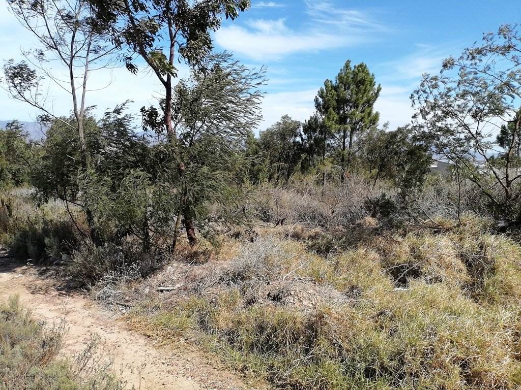 668 m² Land available in Caledon photo number 15