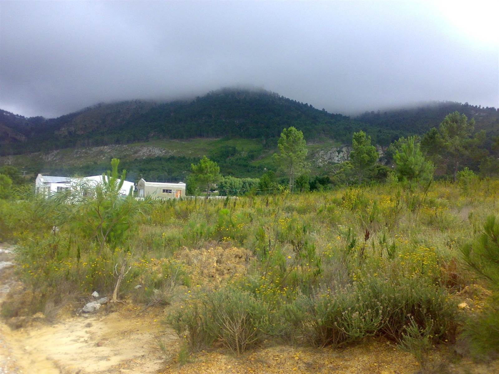 668 m² Land available in Caledon photo number 2