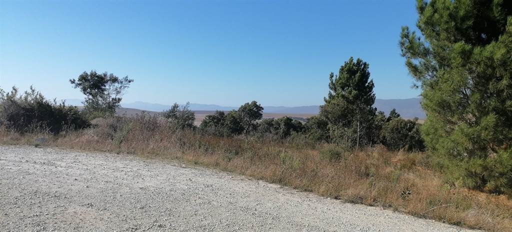 668 m² Land available in Caledon photo number 7