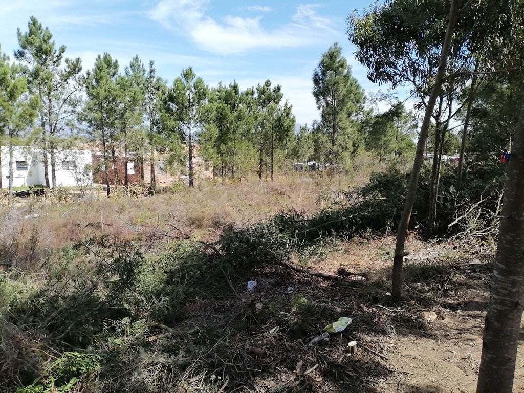 668 m² Land available in Caledon photo number 12