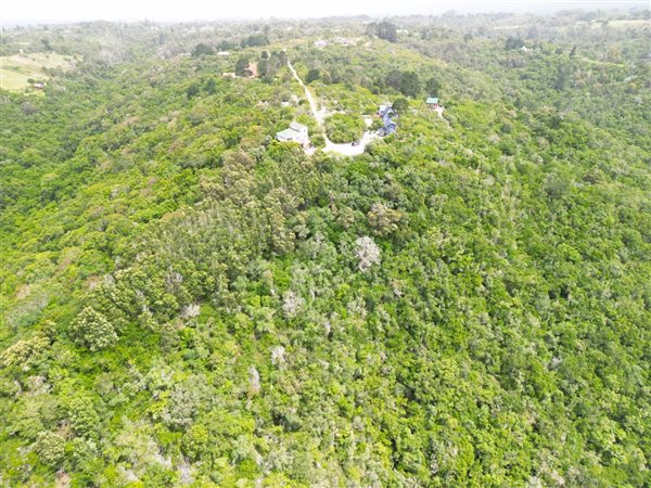 6.3 ha Land available in Wilderness Heights