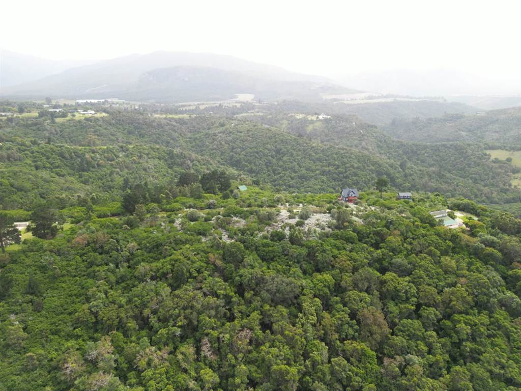 6.3 ha Land available in Wilderness Heights photo number 10