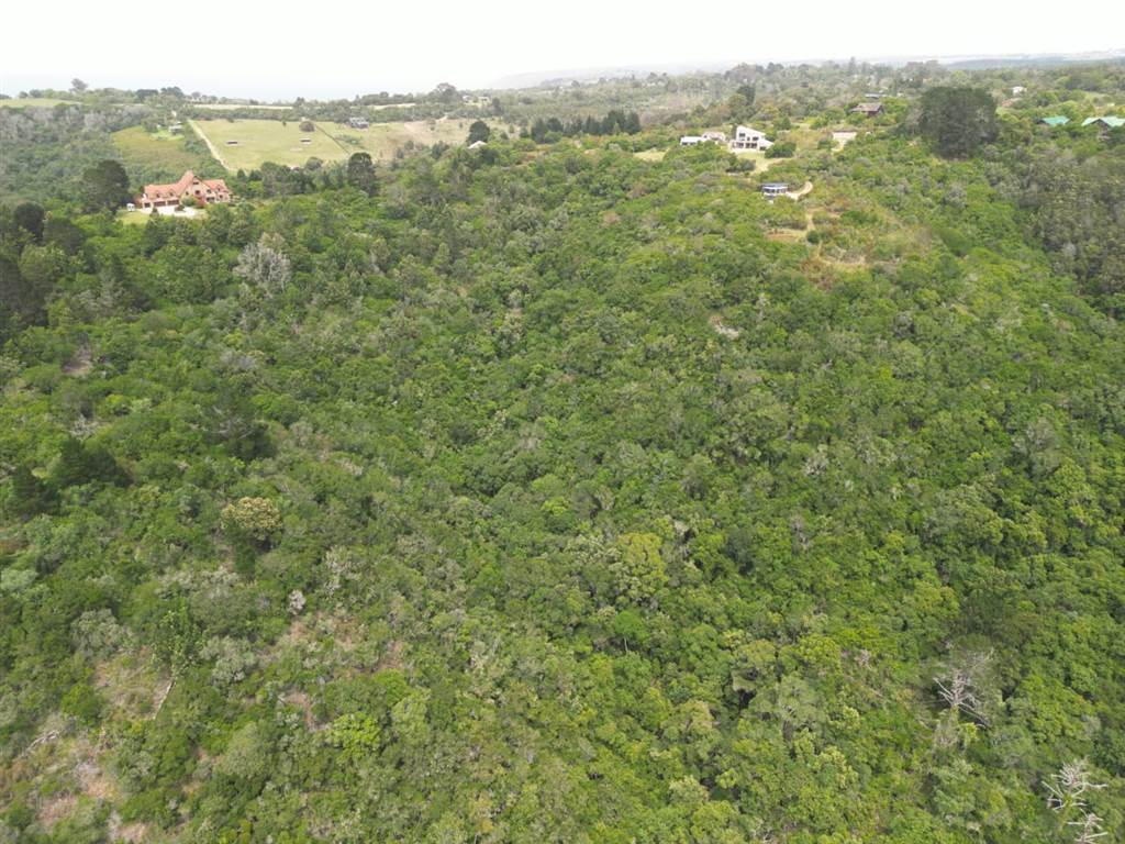 6.3 ha Land available in Wilderness Heights photo number 17