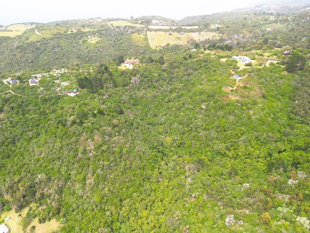 6.3 ha Land available in Wilderness Heights photo number 15