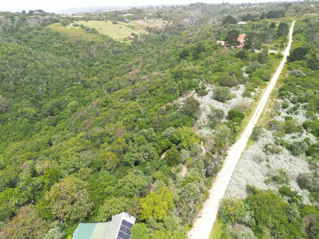 6.3 ha Land available in Wilderness Heights photo number 6